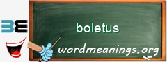 WordMeaning blackboard for boletus